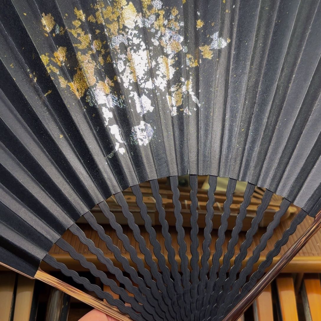 扇子爆炸金龙鳞棕竹