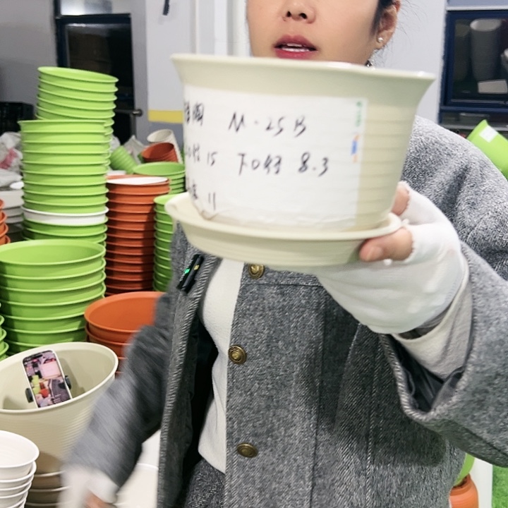 正品矮陶口15高11米色10只带托