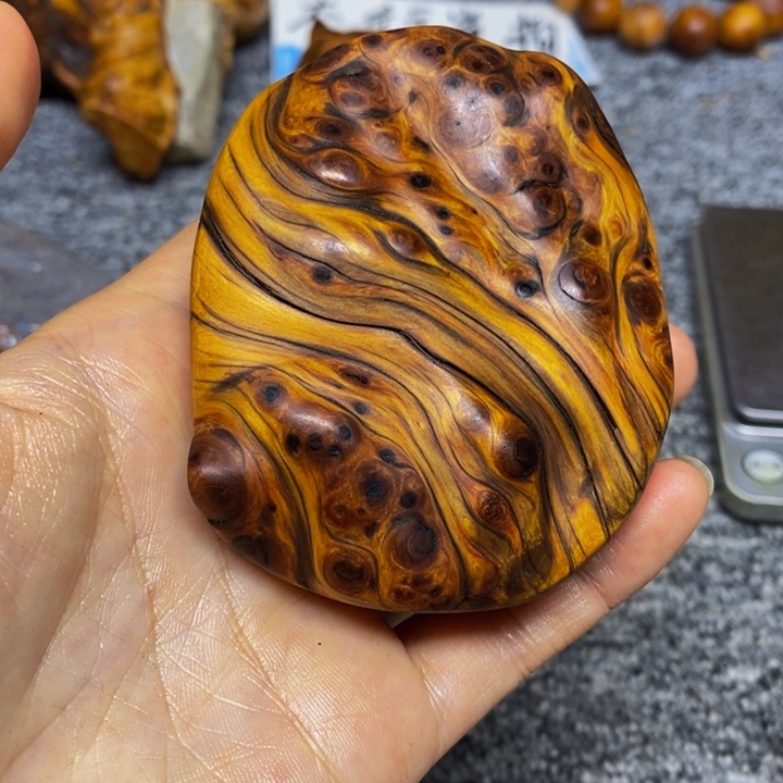 柏木（崖柏）崖柏166