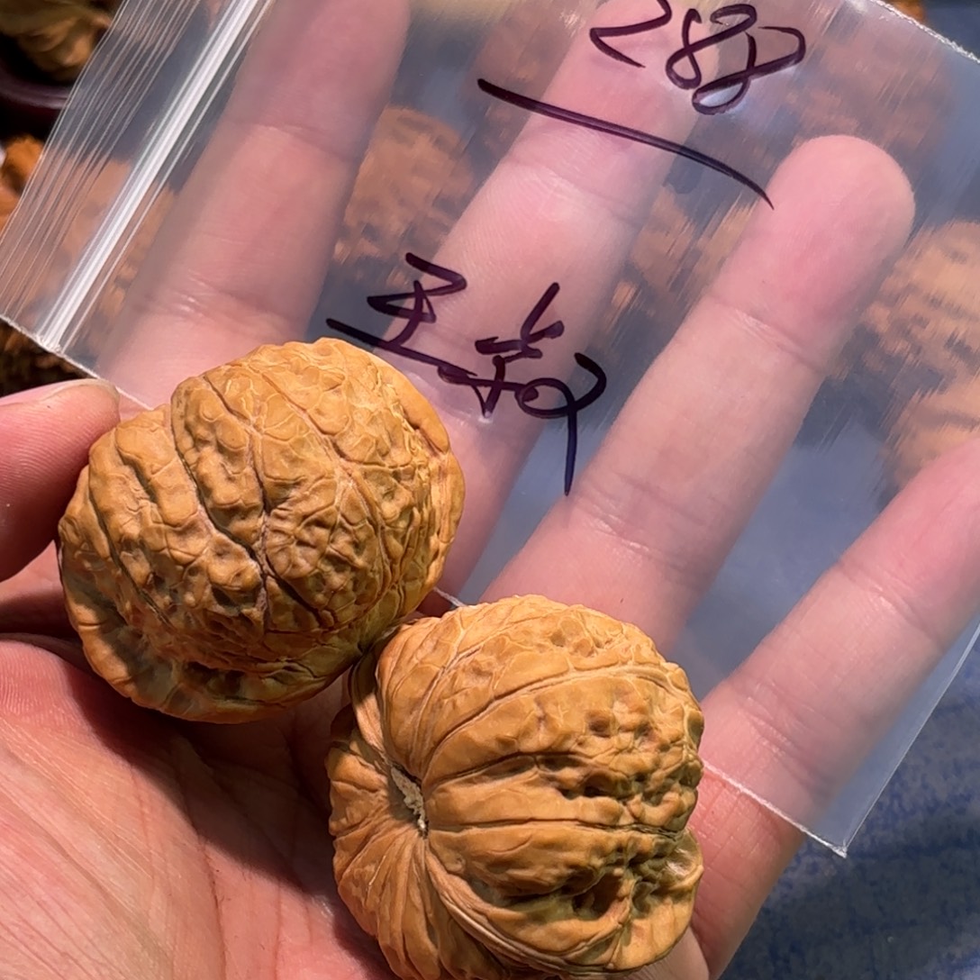 王***叔桃核吊坠全品47毕业南瓜！