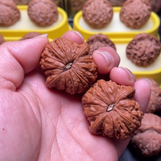 【闪购商品】把件文玩核桃血饼………