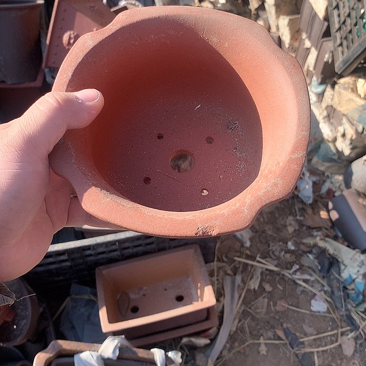 紫砂哈哈真的是太喜欢啦我们