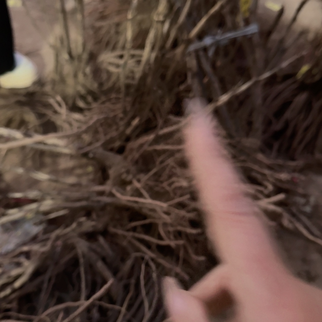 完全开放11111111111