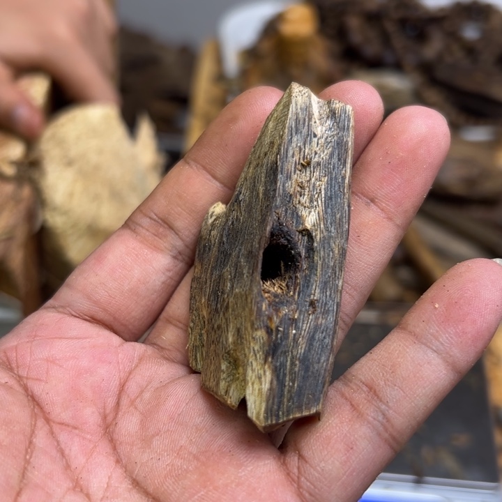 沉香沉香碎屑11克