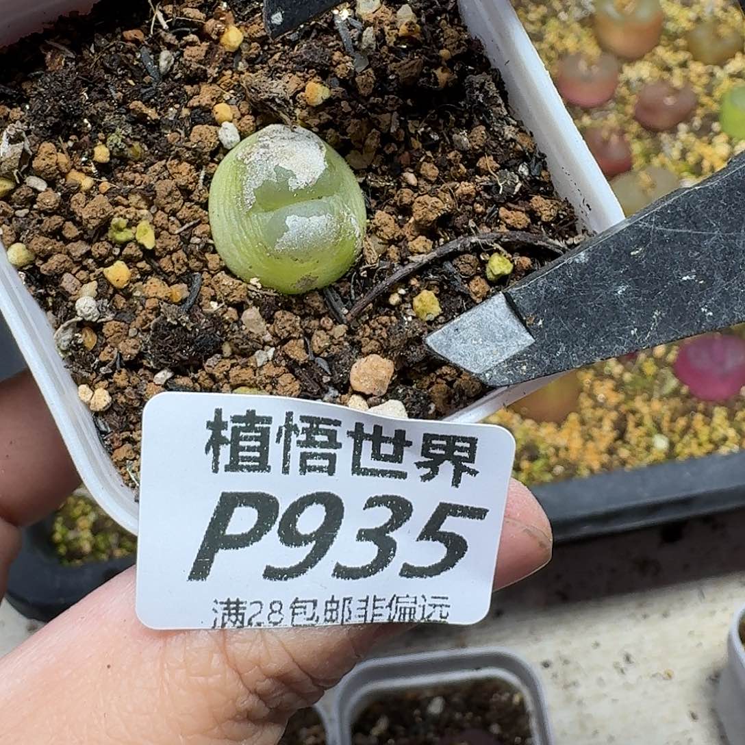 的润泽的啊的润泽fgh