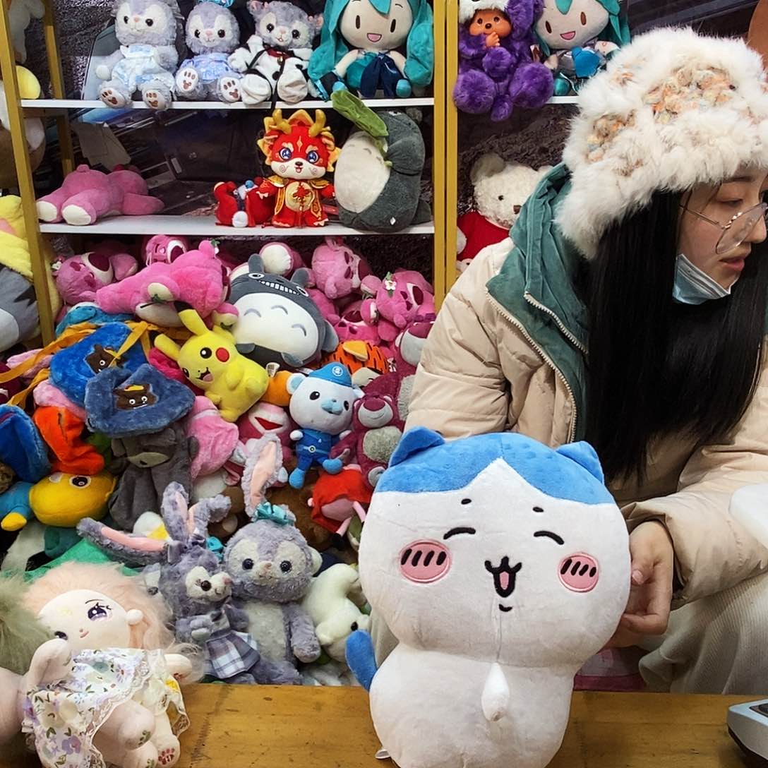 毛绒多*毛绒玩具255