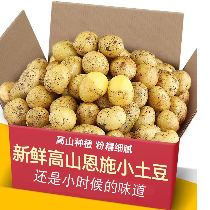 网红恩施黄心小土豆呀新鲜蔬菜3/5/9斤迷你马铃薯洋芋[粉糯