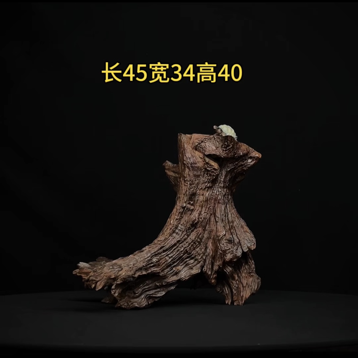 张大狼造景沉木长455cm爆裂树桩带晒台 乌龟鱼缸造景 紫柚木秒沉