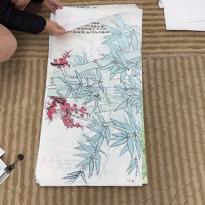 国画花鸟的翅膀和翅膀是白色和黑色
