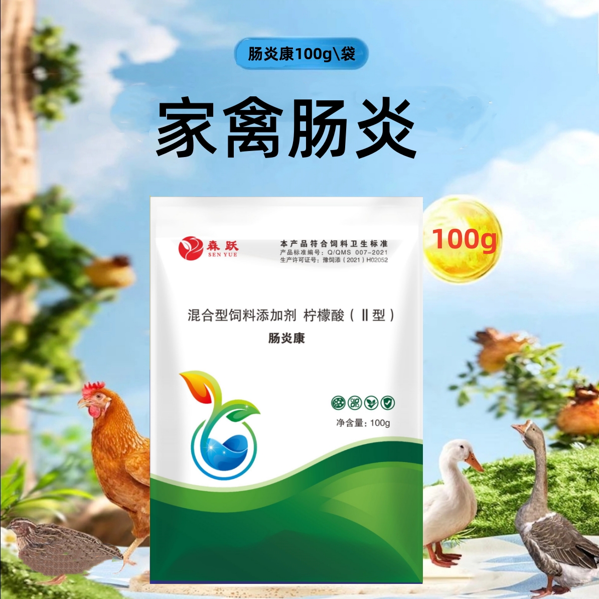 肠炎康鸡鸭鹅鸽子鹌鹑禽类养殖常备动物保健品