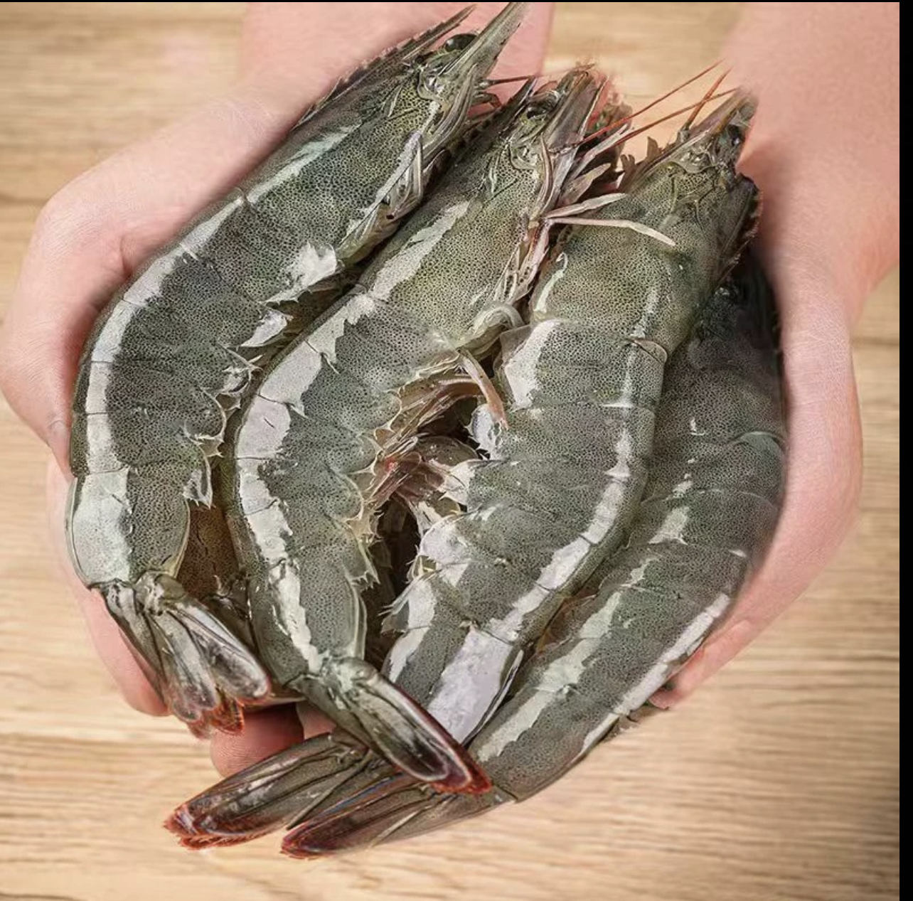 Y海虾新鲜美味肉质紧实 到手4斤/盒【13cm-15cm海虾】 顺丰冷链发货