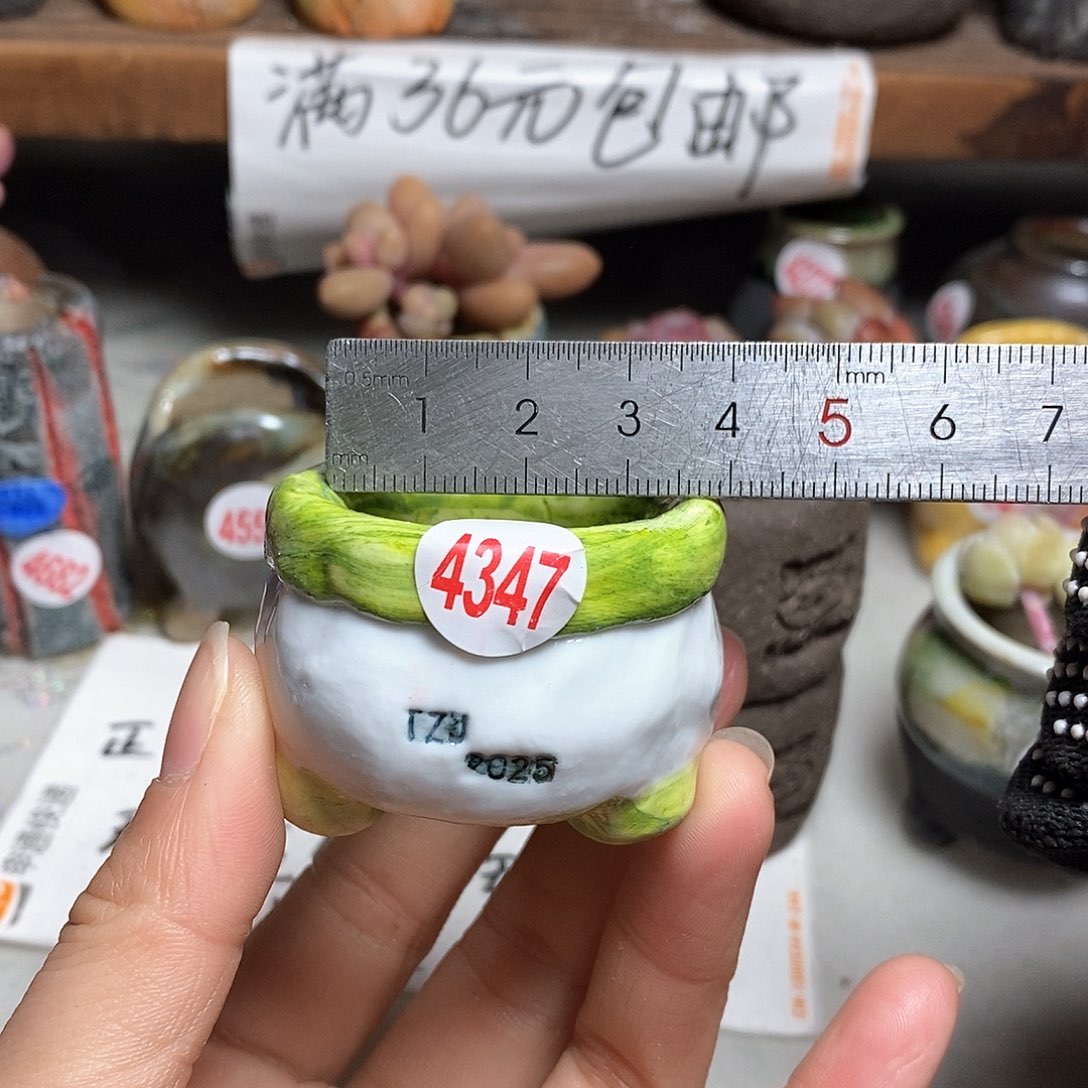 红陶拍5送一个小