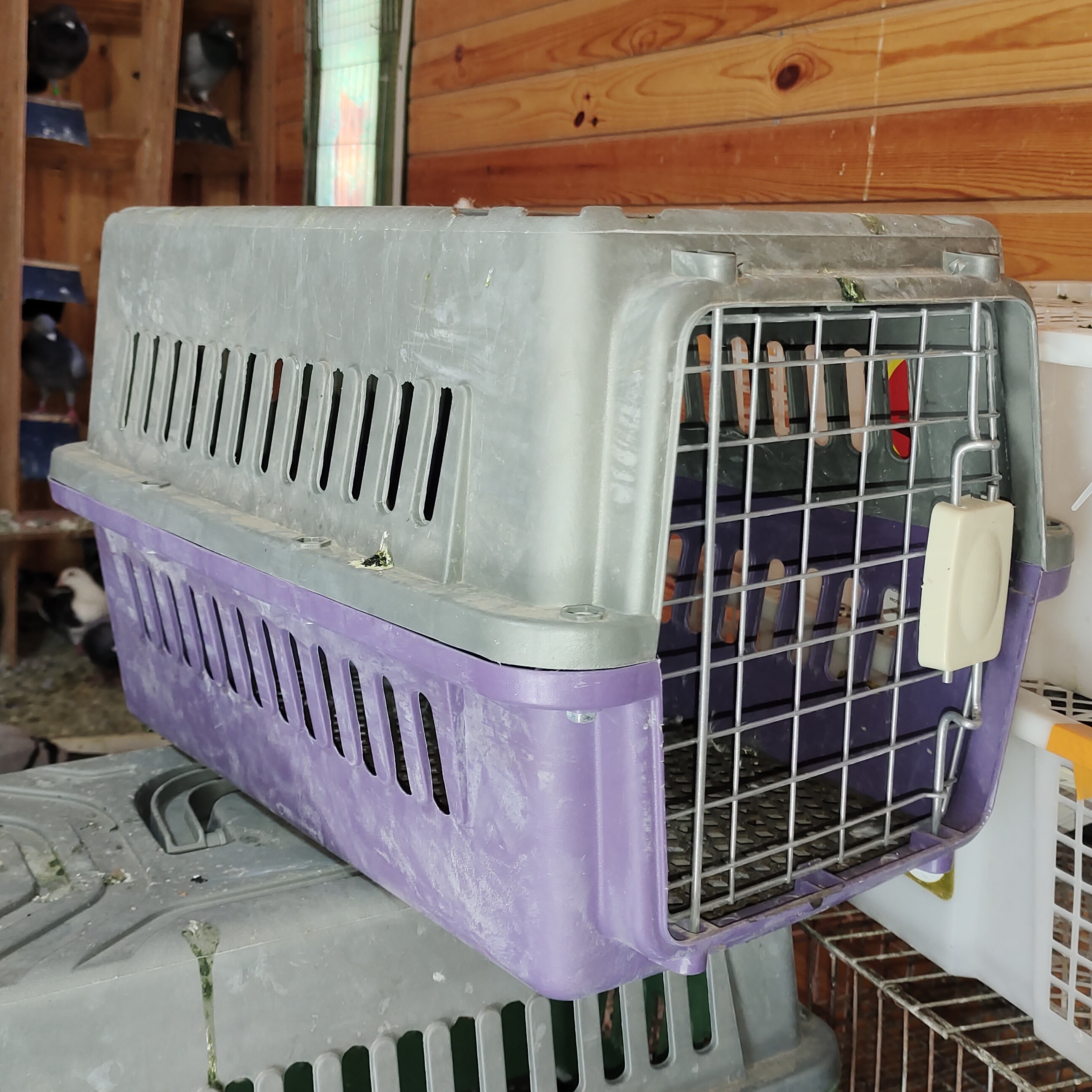 宠物航空箱猫狗通用便携外出车载托运大小型犬猫咪太空舱