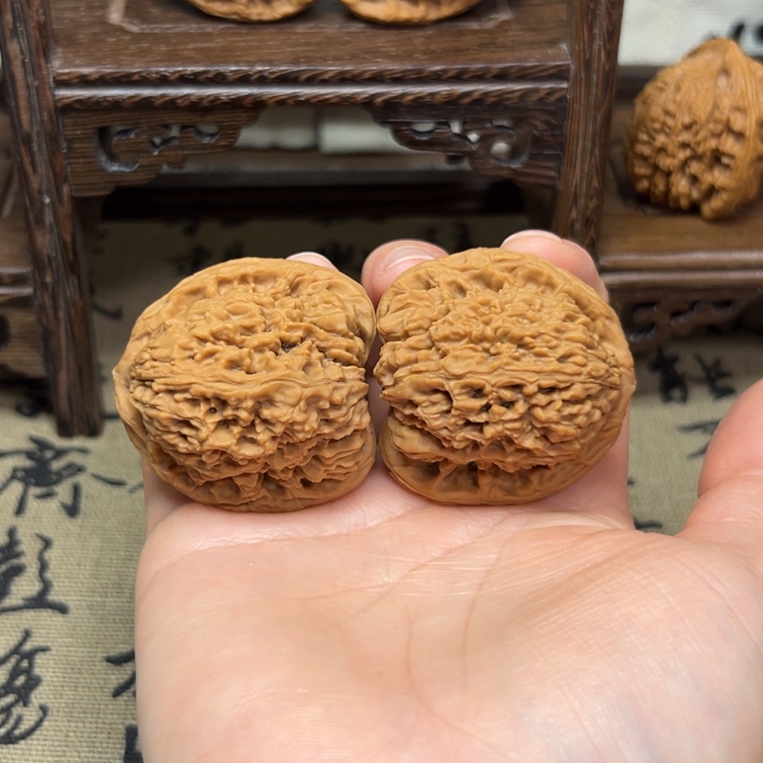 41炮弹 全品无药涿鹿原生态