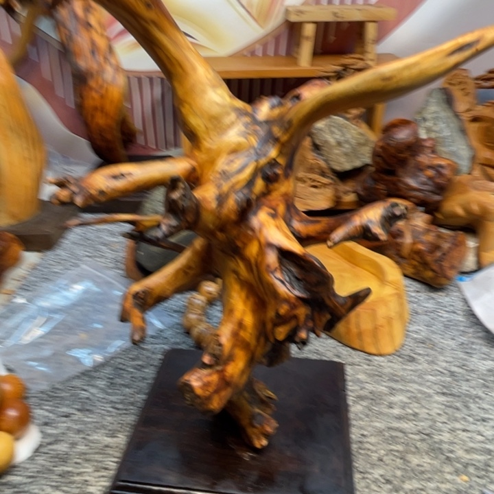 柏木（崖柏）崖柏65