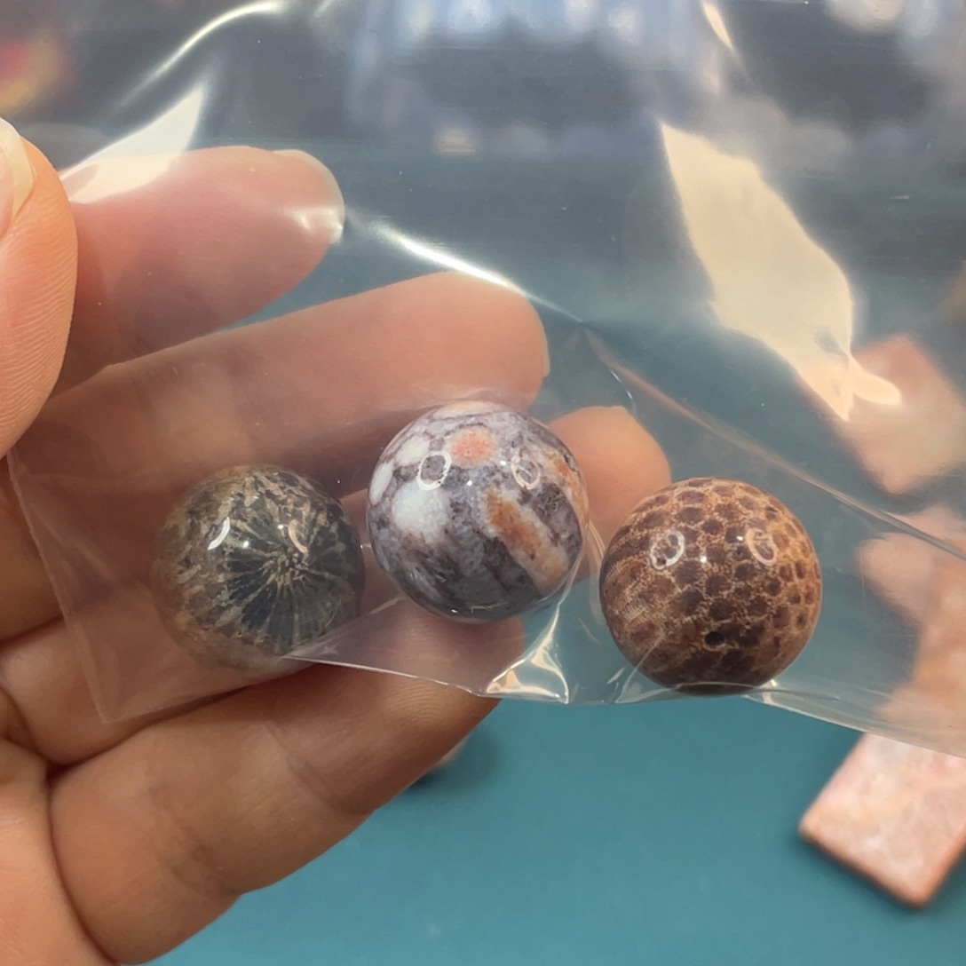 未镶嵌手镯硅化玉