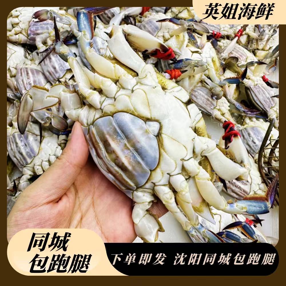 东港吃肉母2斤起限沈阳市内五区发货【保鲜不保活】一只3两左右
