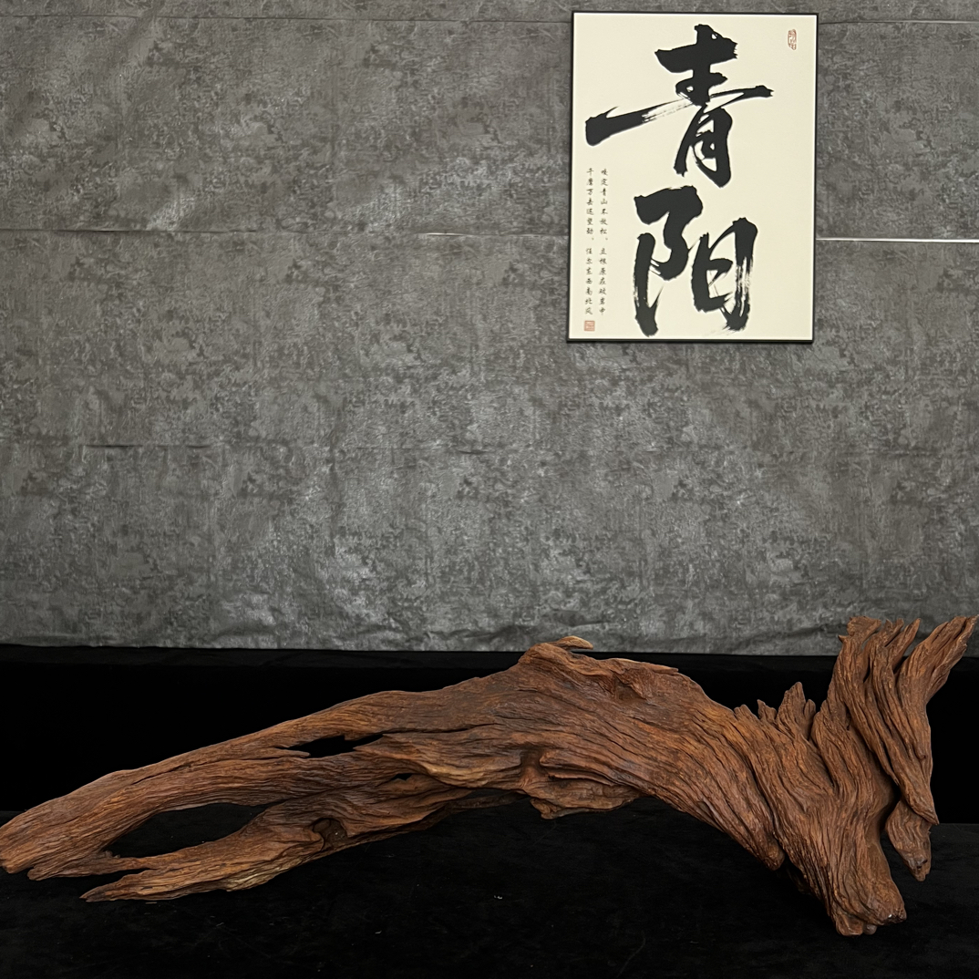 【青阳沉木】云南紫柚木沉木鱼缸造景龟爬寄居蟹躲避沉木—64.19.20