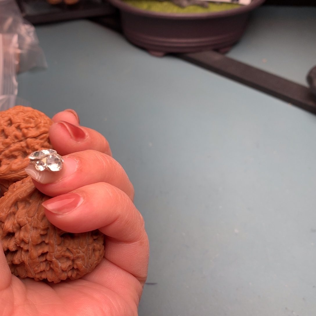 文玩核桃把件水龙4445