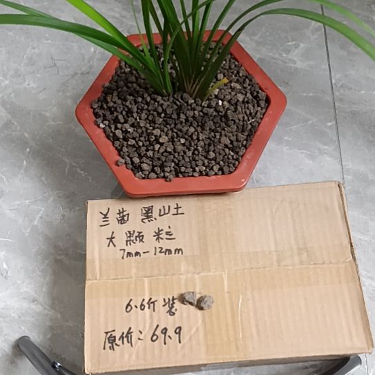 旧***》兰菌黑山土大颗粒6.6斤