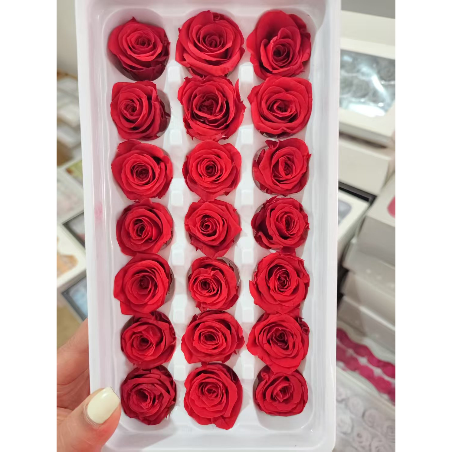 【C级21朵装】永生花玫瑰花头2-3cm永生玫瑰真花保鲜花情人节礼盒批