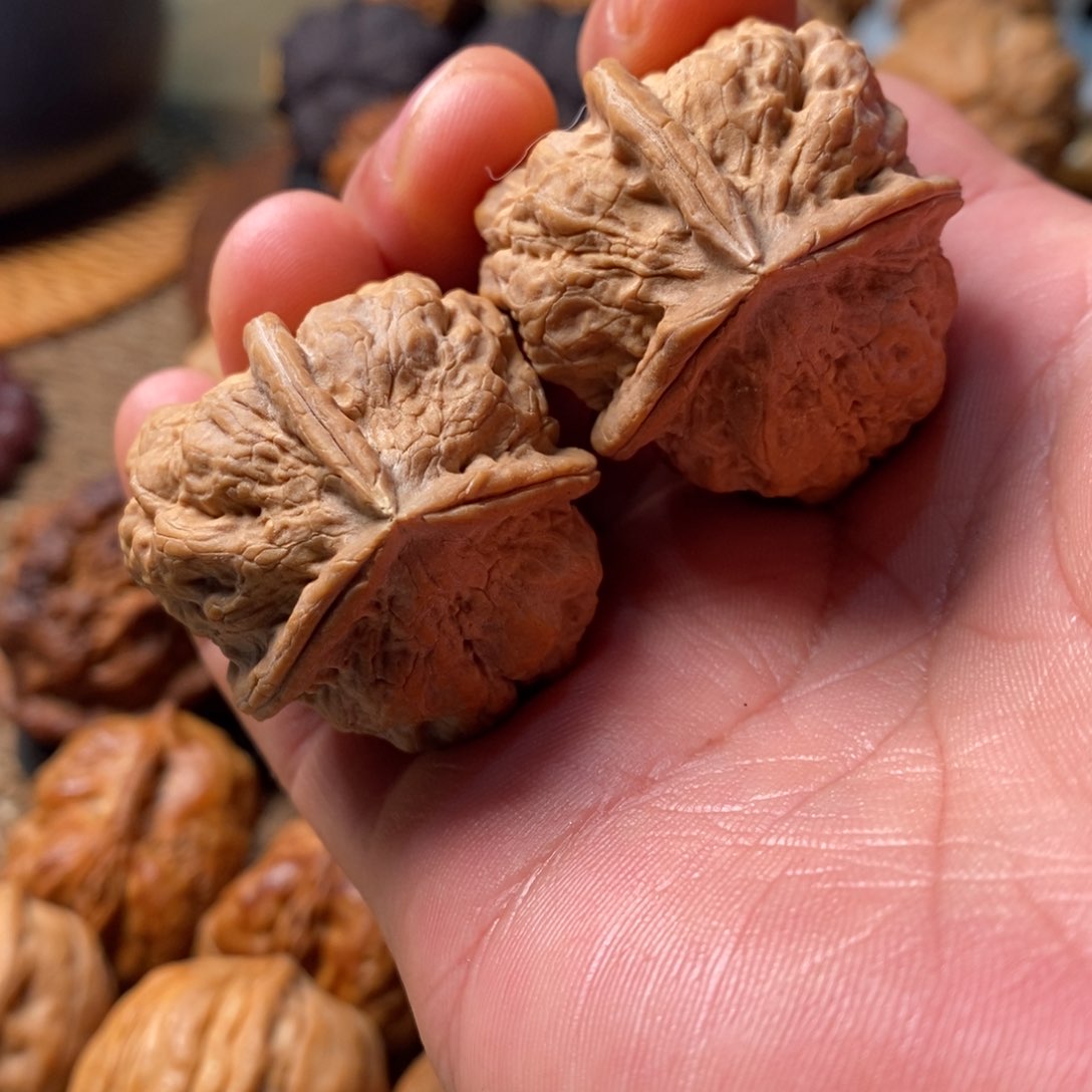 文玩核桃把件盘龙纹六开背