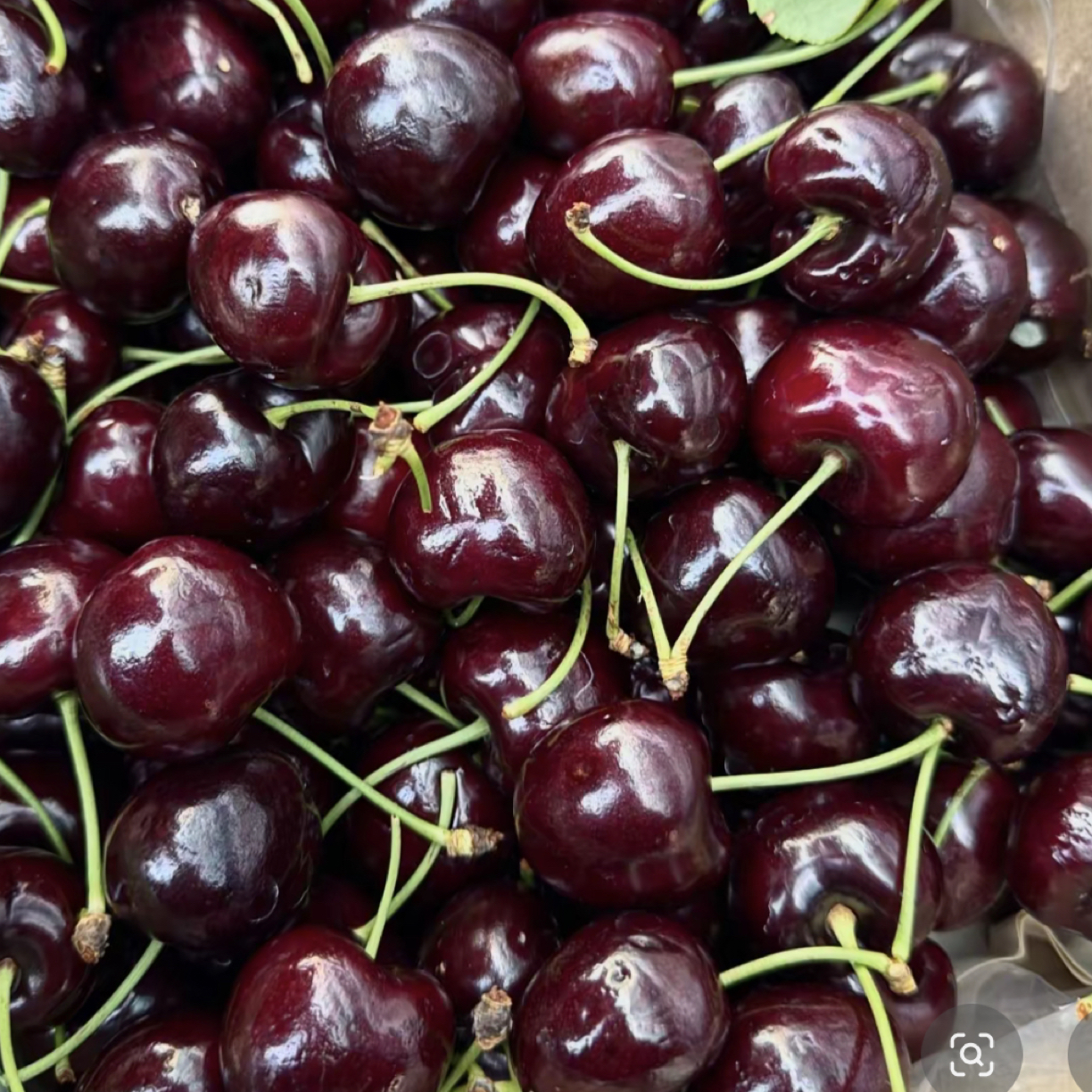 2J智力海运车厘子，5斤装，汁水多，嘎嘣脆美国