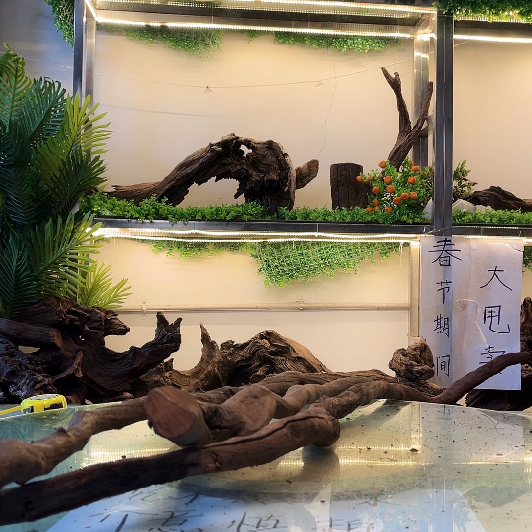 柚木蓝*空沉木鱼缸造景