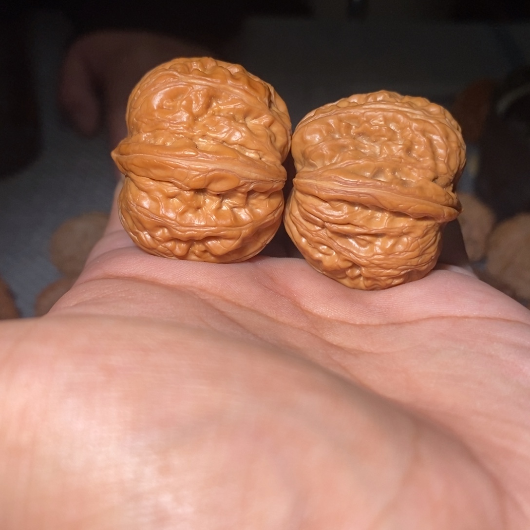 桃核吊坠36尺元宝