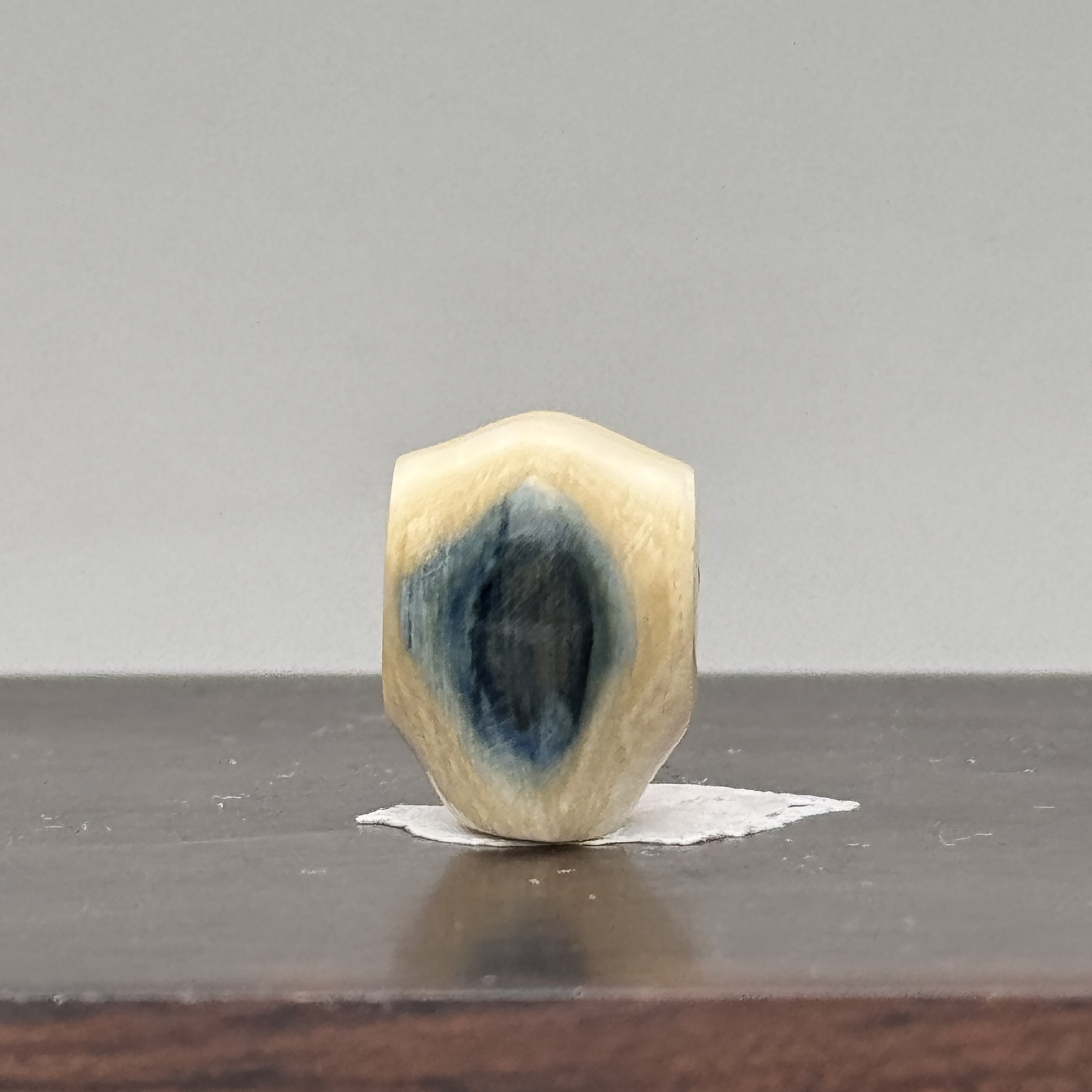 DEZHI/德志【10*14mm】深蓝皮鲨鱼背三通猛犸牙K570