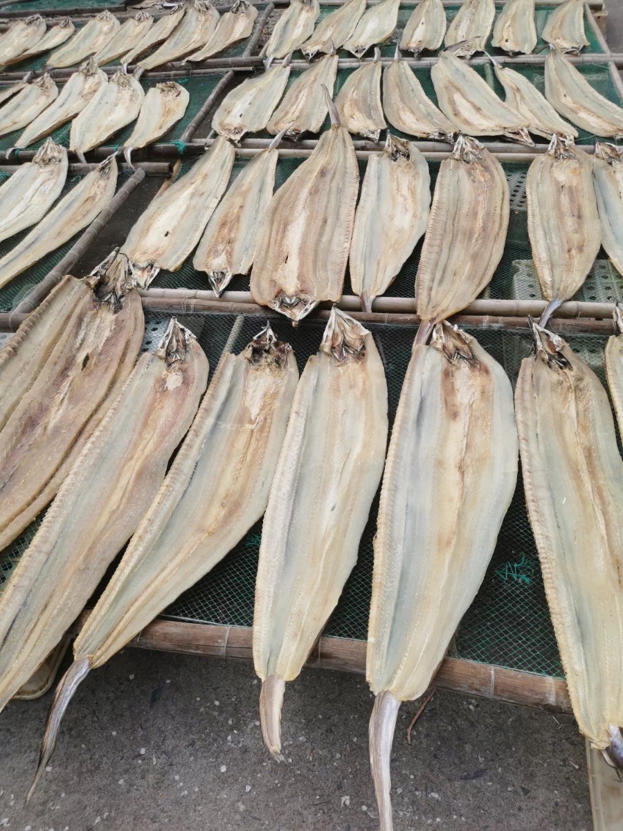 山东特产新货海鳗鱼干整条大鳗鱼3斤装