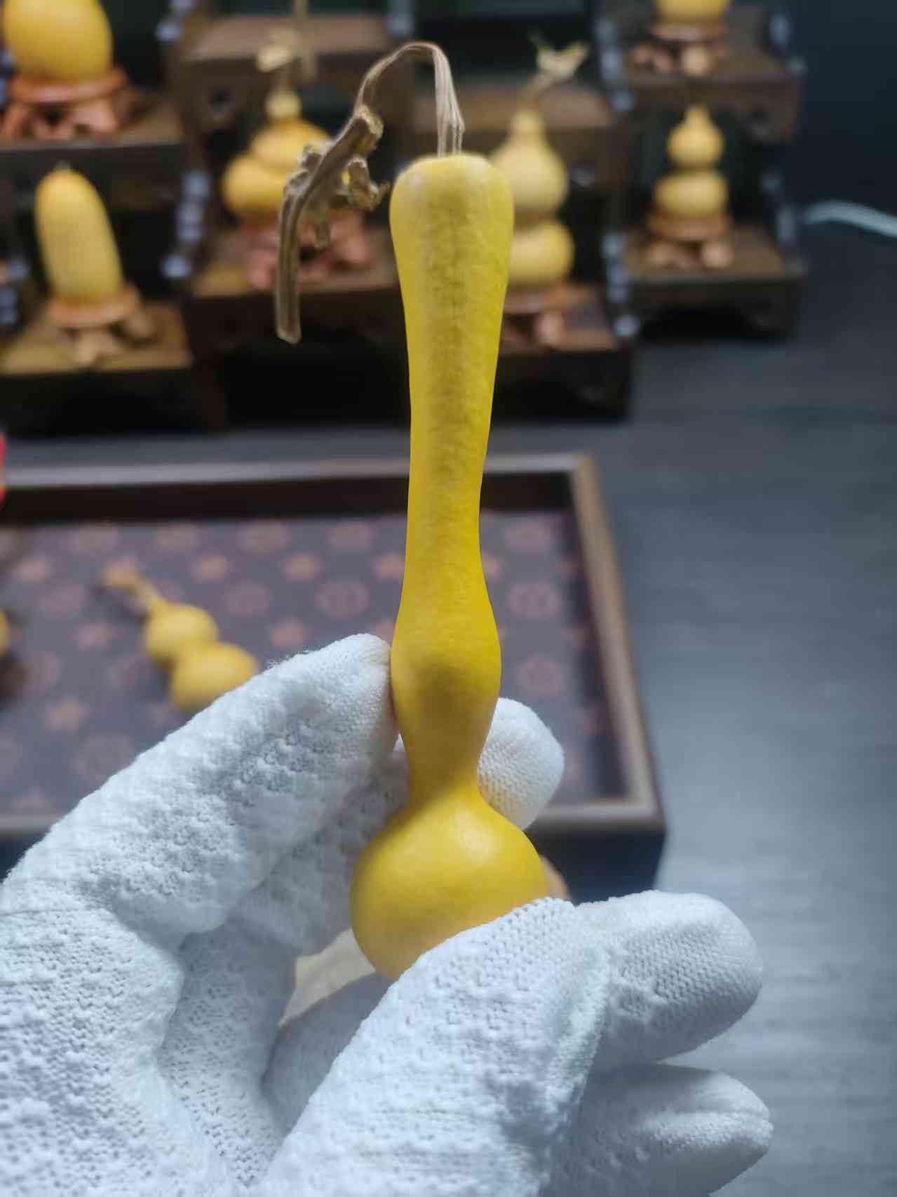 葫芦主播专用链接2