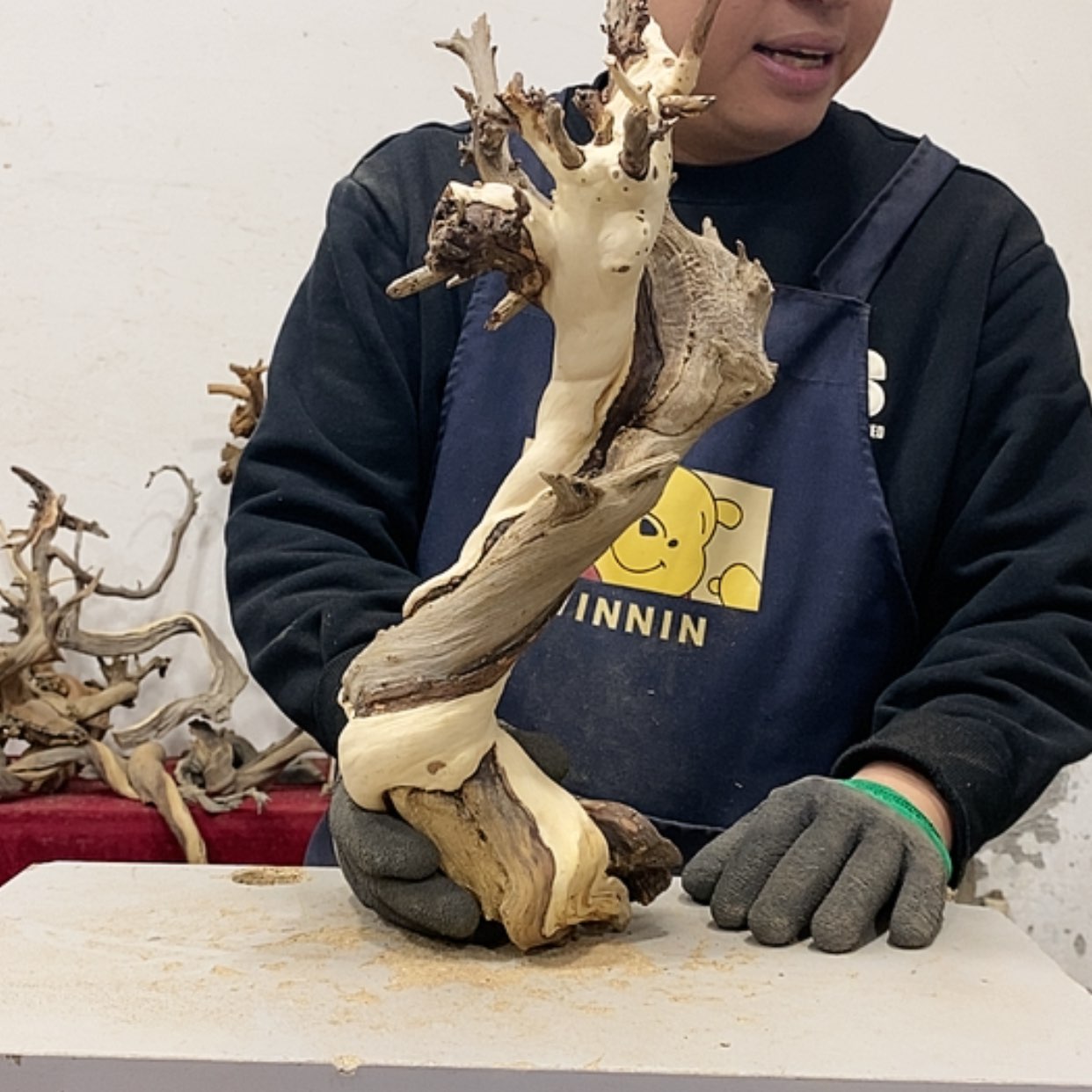 【闪购商品】柏木奥**堡我们都是好孩子