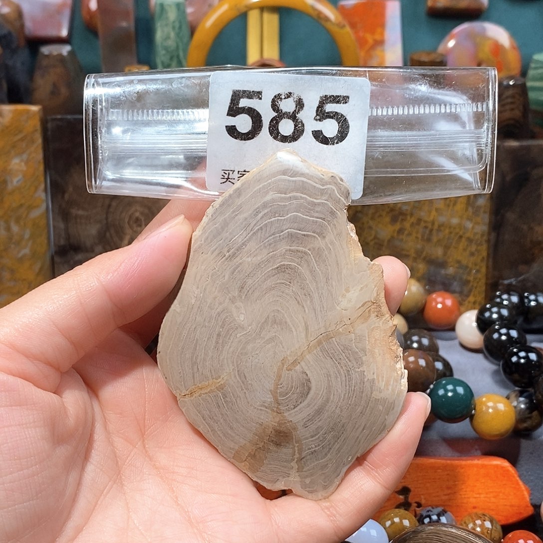 硅化玉天然北票硅化玉原石未镶嵌天然北票硅化玉原石