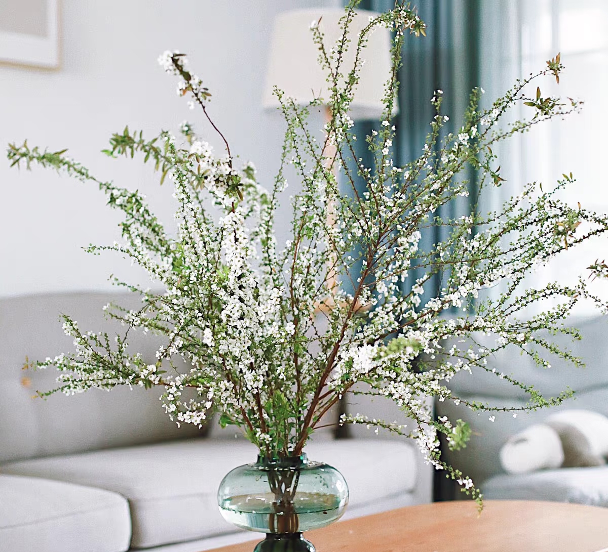 【新疆包邮】干枝雪柳  爆花机器 枯木逢春 懒人好养