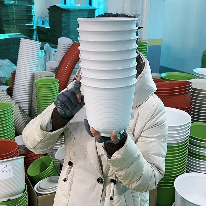 正品高陶口15高15白色无托8只