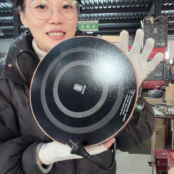 18-10不锈钢莱德斯电磁炉