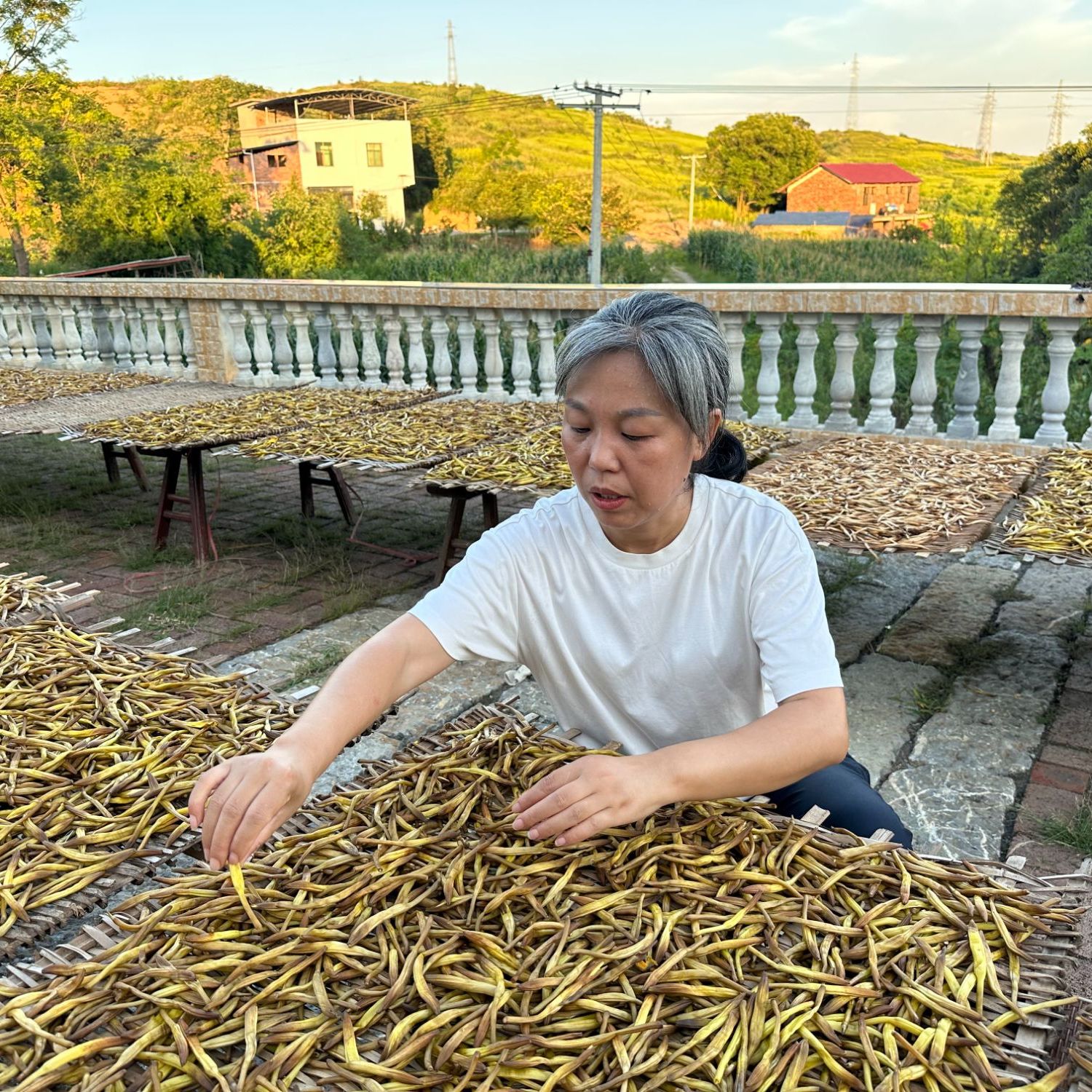 湖南2025年农家日晒黄花菜干货不添加不熏硫传统工艺蒸晒金针菜