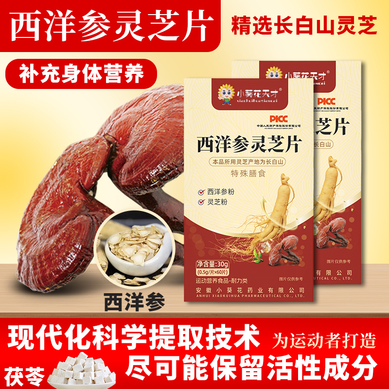 西洋参灵芝片科学提取甄选原料独立瓶装取用方便