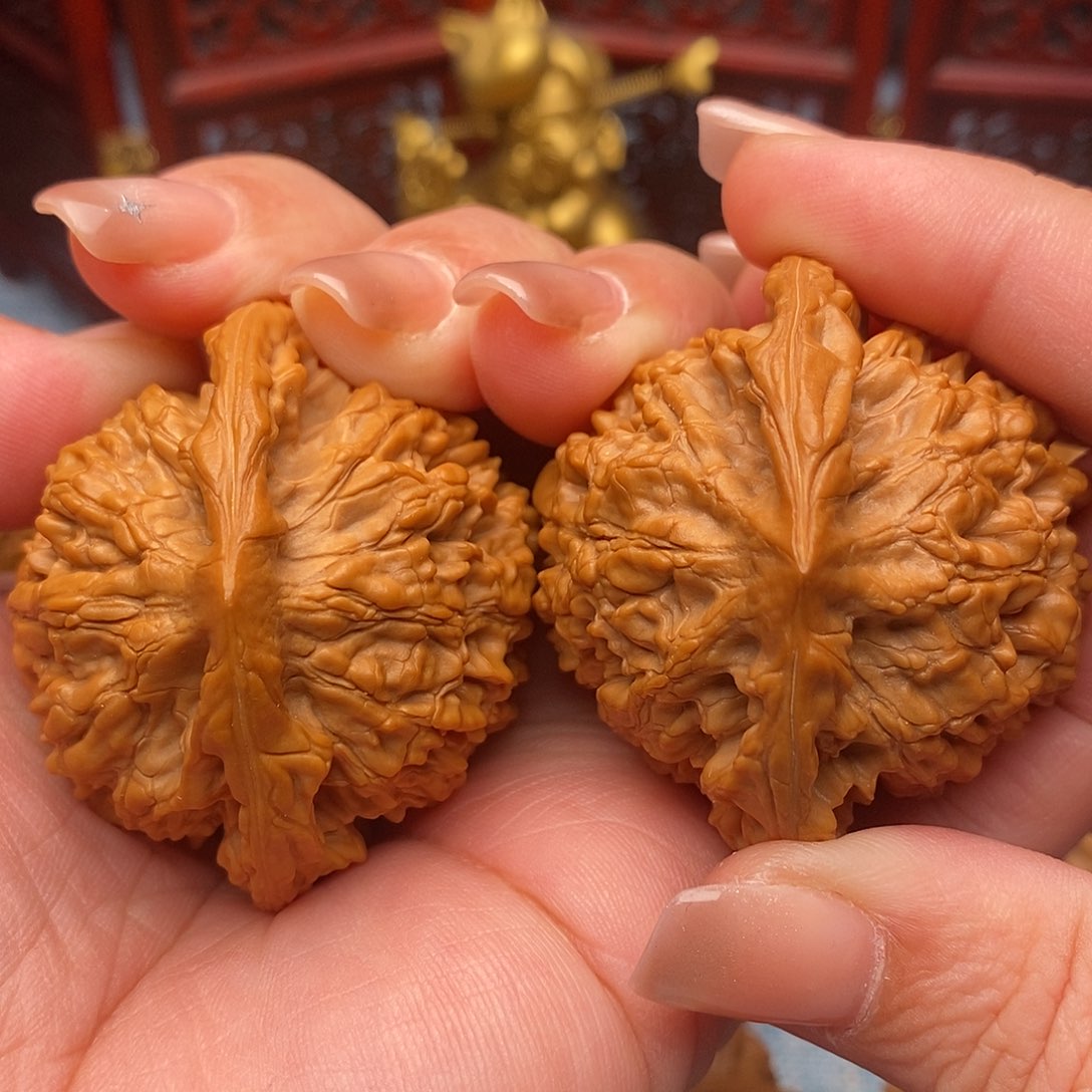 星***夫文玩核桃把件50全官帽