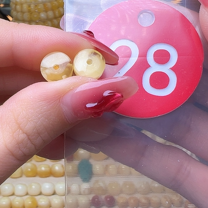 蜜蜡裸石未镶嵌8mm 精工隔片