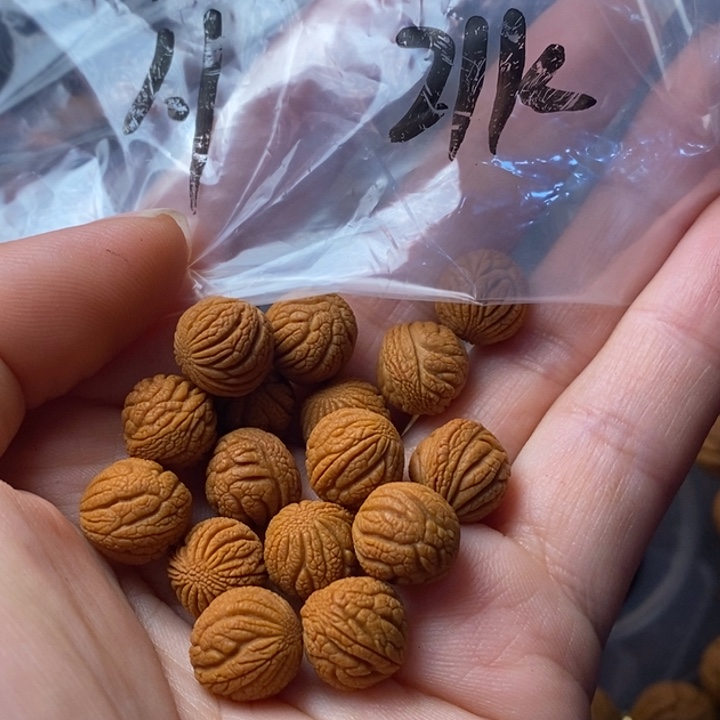 文玩核桃吊坠秦岭野生龙纹桃核11