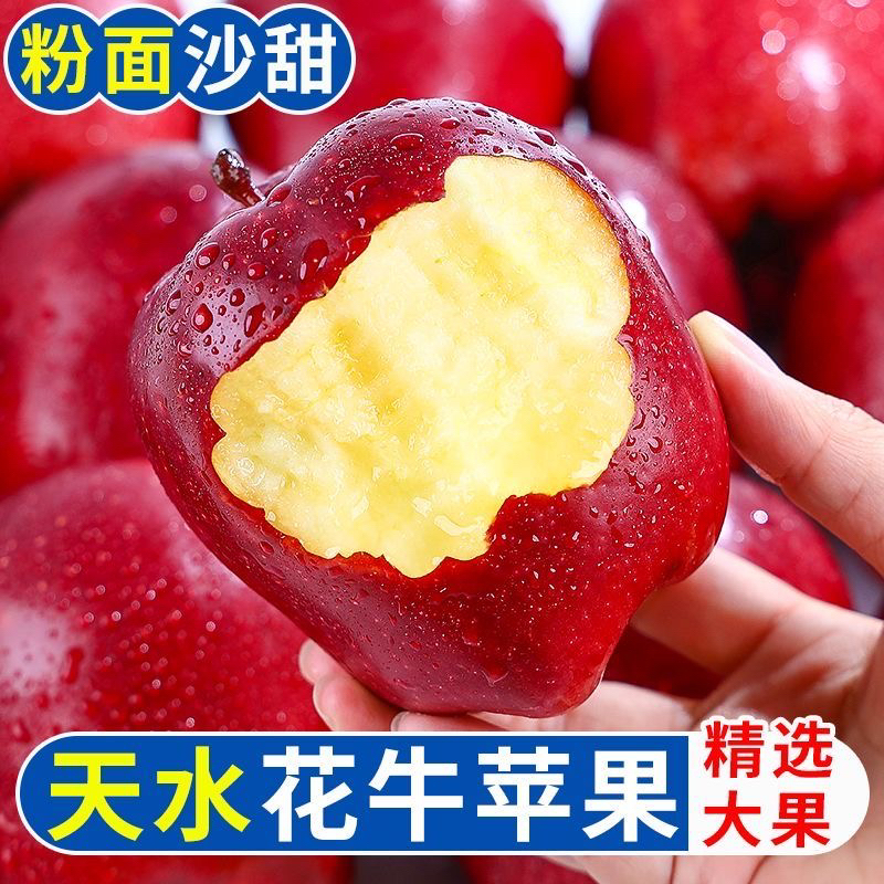 【2025年头茬新果】j甘肃花牛苹果香甜多汁当季苹果新鲜应季面苹果