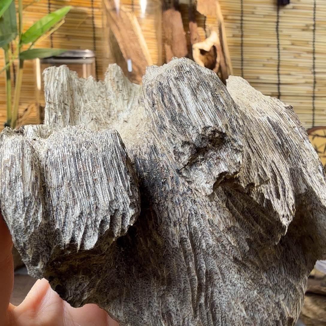 沉香沉香碎屑沉香打泡油30g