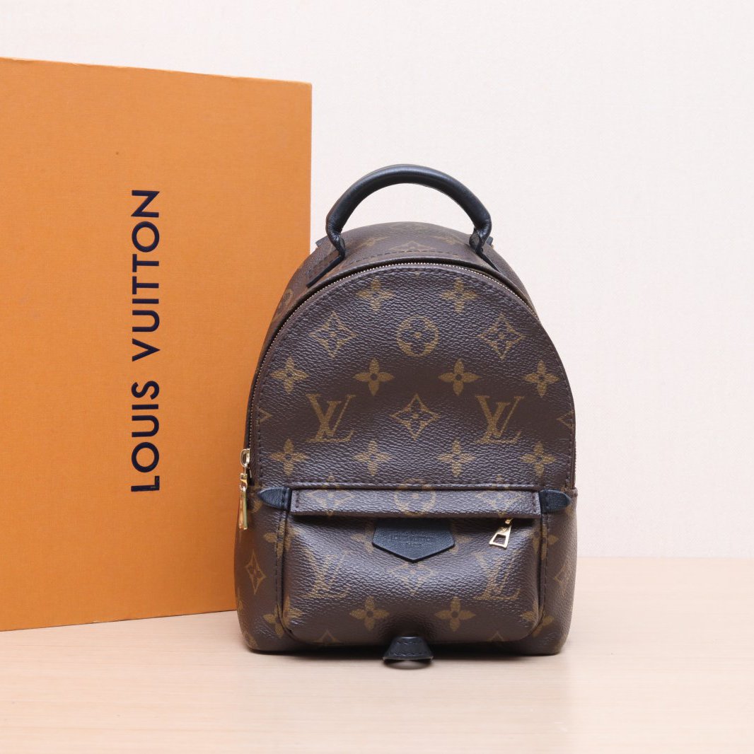 95新 LouisVuitton/路易威登 小花黑黑小书包 Mini 老花 PVC 2020