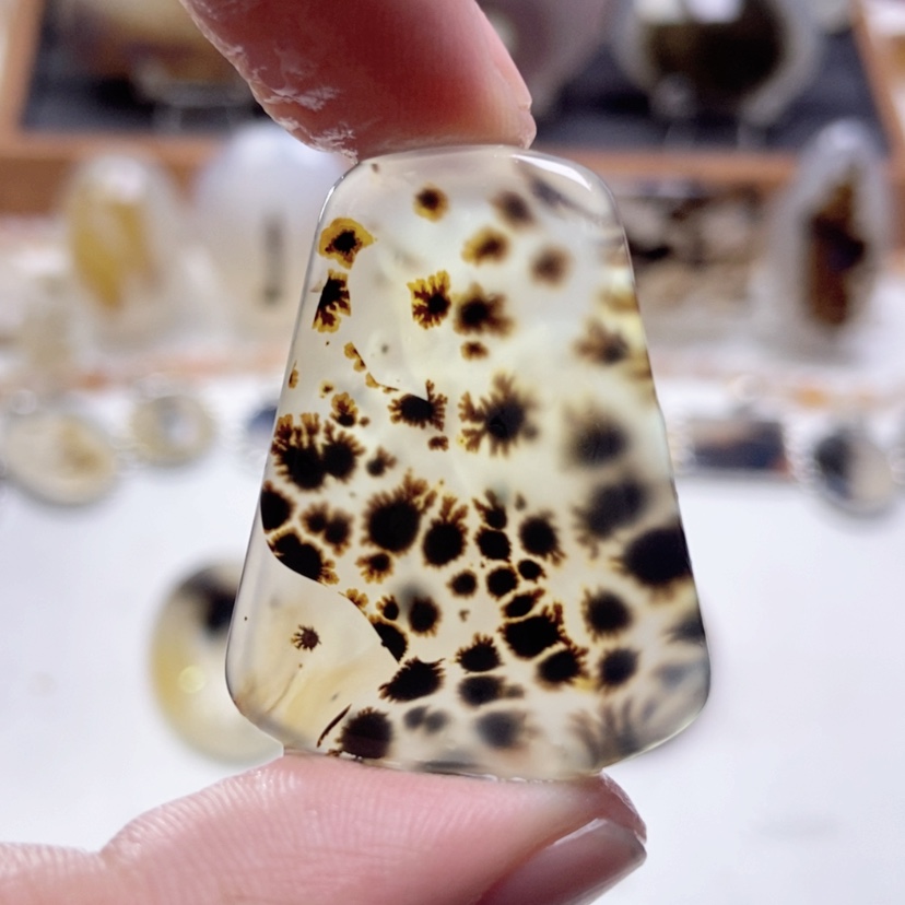 【闪购商品】玛瑙/玉髓颈饰未镶嵌