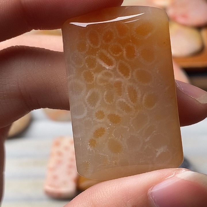 呆***古硅化珊瑚未镶嵌颈饰