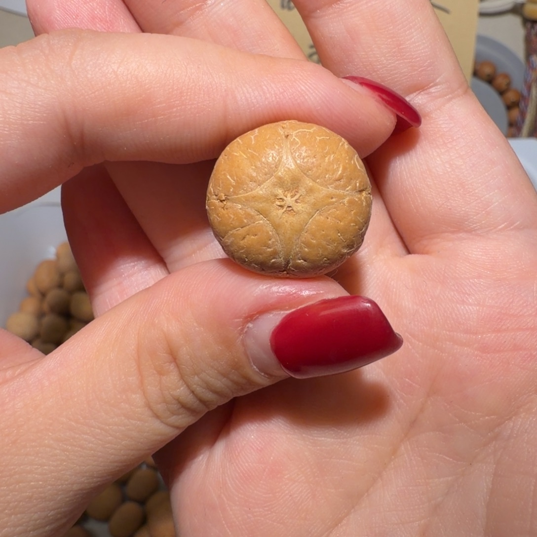 金***士凤眼菩提吊坠金策士