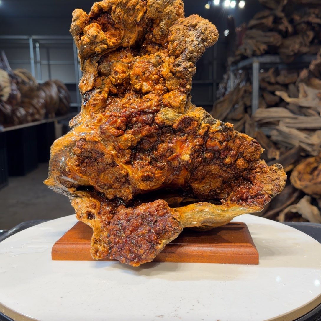 万***阳木王一刀琥珀木摆件8