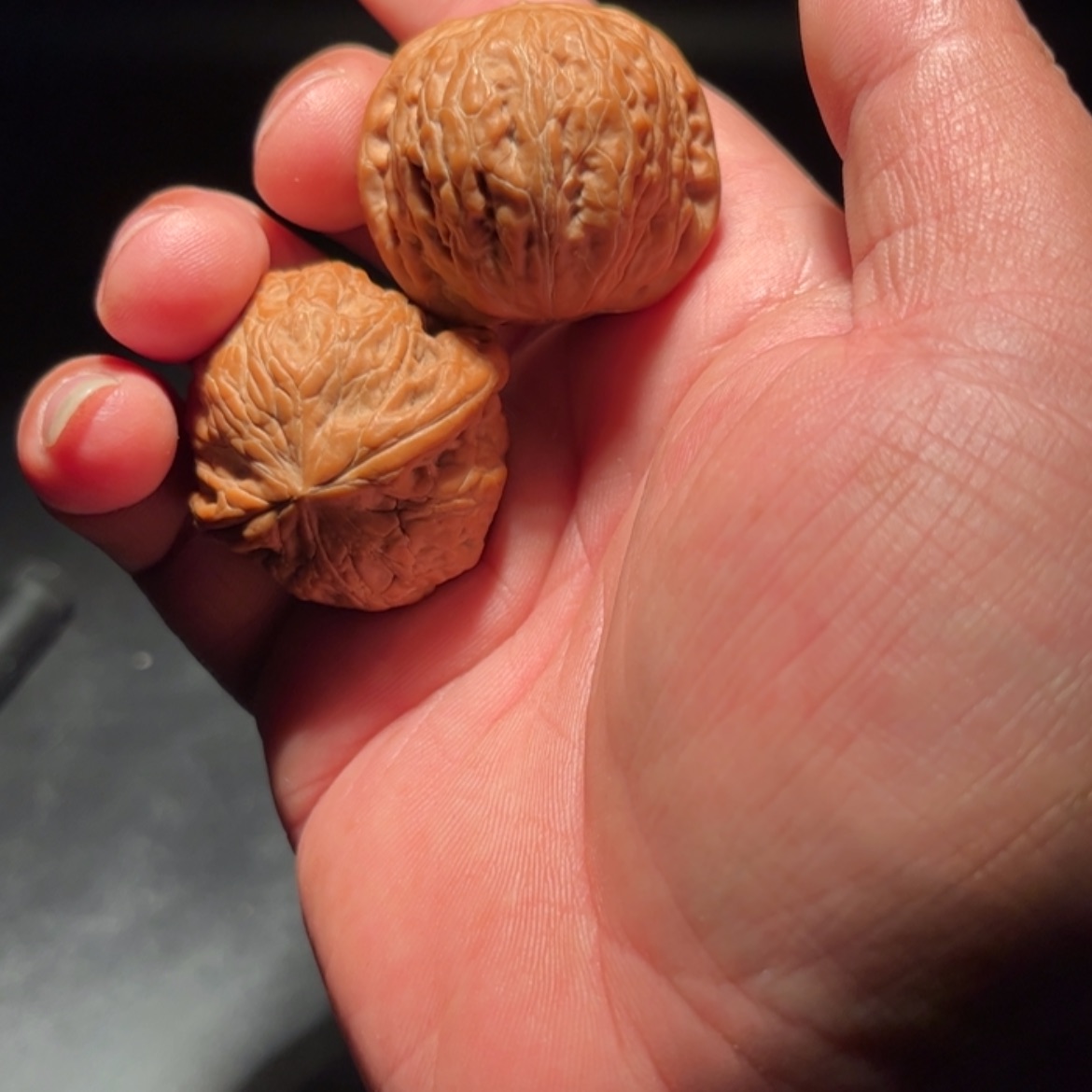 【闪购商品】艺**居文玩核桃木制手把件